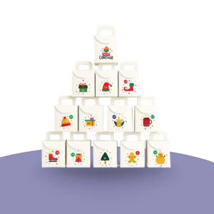 Empty Advent Calendar Packaging